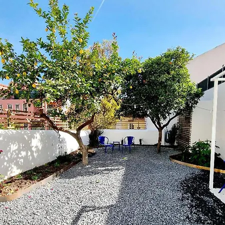 Casa Pavao 3*