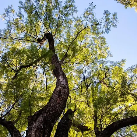 بيت ضيافة Casa Pavao 3*