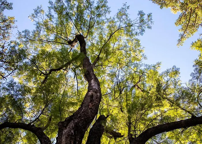Πανσιόν Casa Pavao 3*